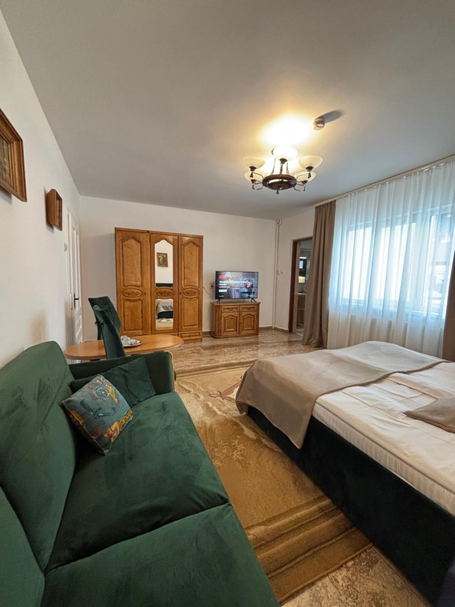 Pensiunea Casa-Stefanel サドバ エクステリア 写真